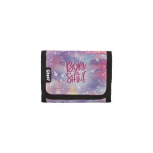 carteira g&b wallet
