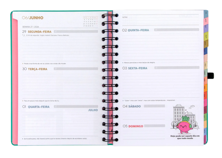 agenda mr. wonderful 2026 27 semanal 18 meses sonha muito, vive livre agenda mr. wonderful 2026 27 semanal 18 meses sonha muito, vive livre